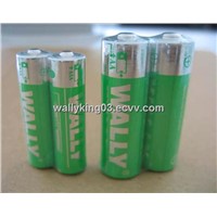 AA Alkaline Battery (LR6)