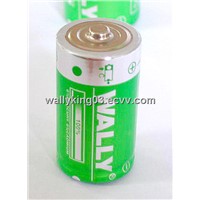 Alkaline C Battery (LR14)