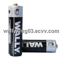R03 AAA Carbon Battery