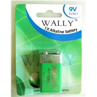 Alkaline 9V Battery