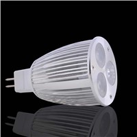 6W MR16 LED Spot