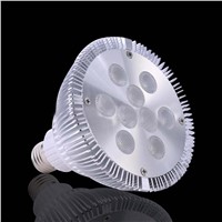 9W PAR Lamp