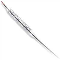 Coronary Stent System