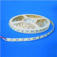 LED Flexible Strip--LED Flexible Strip Light--10mm