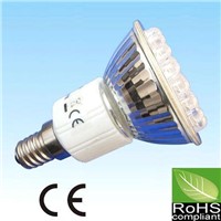 LED Light