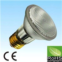 PAR20 led bulb