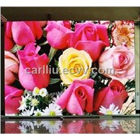 PH14 Indoor Virtual -Pixel Fullcolor SMD 1 by 1 LED Display