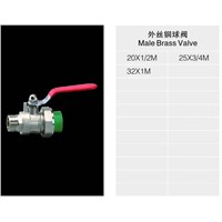 PPR male brass valve