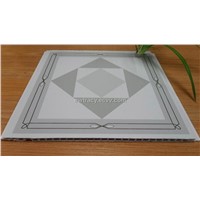 PVC Ceiling Panels (EWZ-250-01)