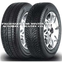 Passenger Car Winter Tyre ( 601/ 602)