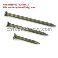 Polished common round nails (factory)