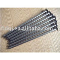 Polished common wire nails (factory)