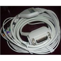 Simens EKG cable with 10 leads -RSDK155