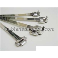 Stainless Steel Strapping with Buckles