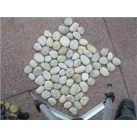 Stone Pieces with Net (Pebble Mosaic / Paving Stone)