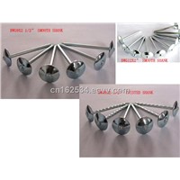 Twist Shank Roofing Nails with Good Quality