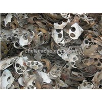 chinese river shell scraps