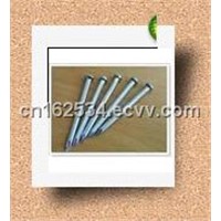galvanized common round wire nails (factory)