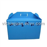 Plastic Box