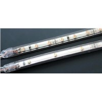 Flexible SMD5050 LED Strip/10mm/60pcs/14.4W/IP54/IP68