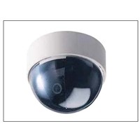 Indoor Surveillance Camera