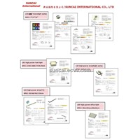 LED products design/manufacture/application
