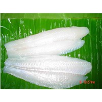 Frozen pangasius fillet white meat