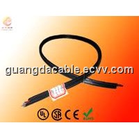 Coax with Power Cable (RG59)