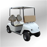 2 Seats Electric Golf Carts