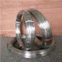 Stainless Steel Spring Wire (302, 304)