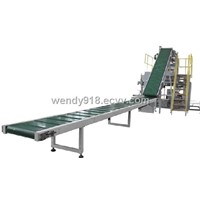 Automatic Conveying Packaging Machine