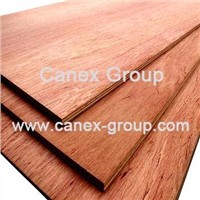 Bintangor Plywood
