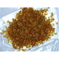 Bone Glue (100-200Bloom)