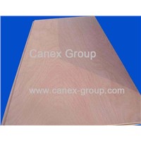 Canex Okoume Plywood