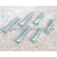 Din 975 hex lag screw