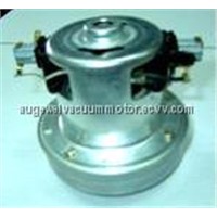 Dry vacuum cleaner motor (PT02)
