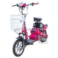 Electric Bicycle