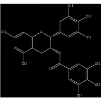 Epigallocatechin gallate(EGCG)