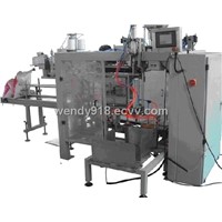 Fully Automatic Bagging Packaging Machine