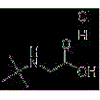 N-t-Butylglycine hydrochloride