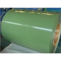 Prepainte Al-Zinc Steel Coils (PPGL)