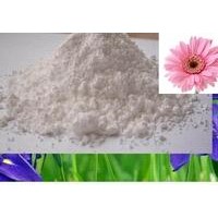 Titanium Dioxide
