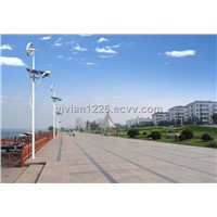 400W Wind Solar Street Lamp (FY-400W)