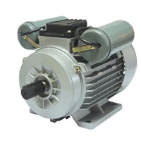 YL series double capacitor start induction motors