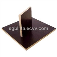 High Quality Film Faced Plywood