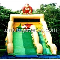 Inflatabe Park
