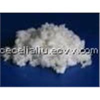 Nitrocellulose Chips (H30S)