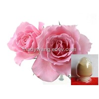 Rose Flower Extract