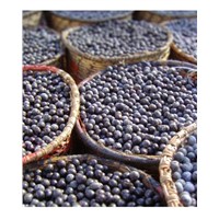 Acai Berry Powder, Extract, Concentrate, Organic, Freeze Dried, Capsules, Juice Powder, Fruit Powder