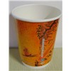 PLA Double Wall Paper Cup
